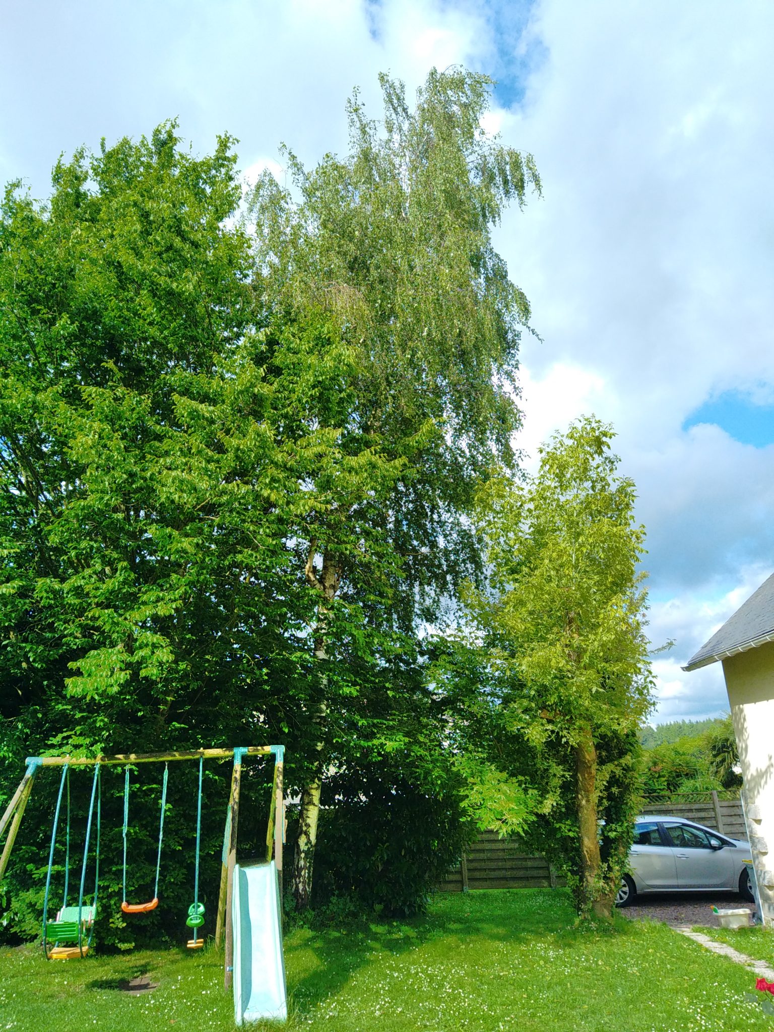 Nettoyage de jardin et élagage à Rouen
