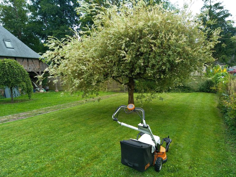 Entreprise d&rsquo;entretien jardin à Buchy : services et prix